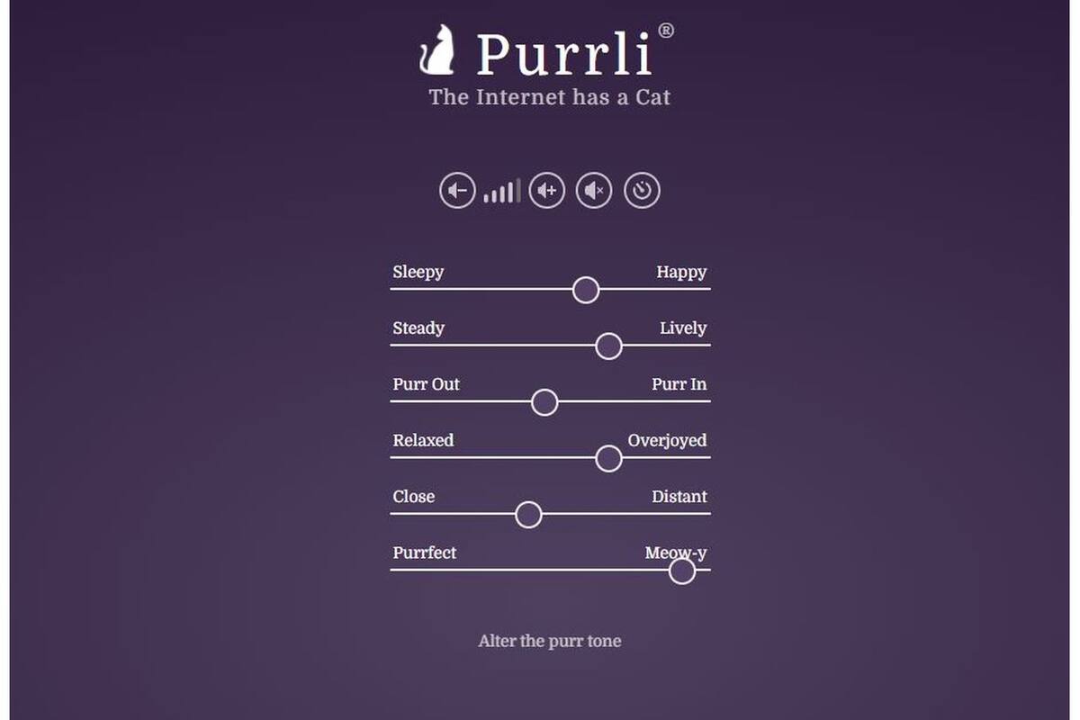 El característico y misterioso sonido que emiten los gatos, en un solo sitio