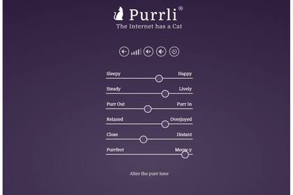 El característico y misterioso sonido que emiten los gatos, en un solo sitio