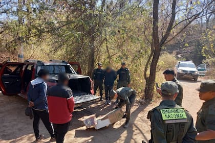 El cargamento de 146 kilos de cocaína fue incautado por una patrulla de la Gendarmería