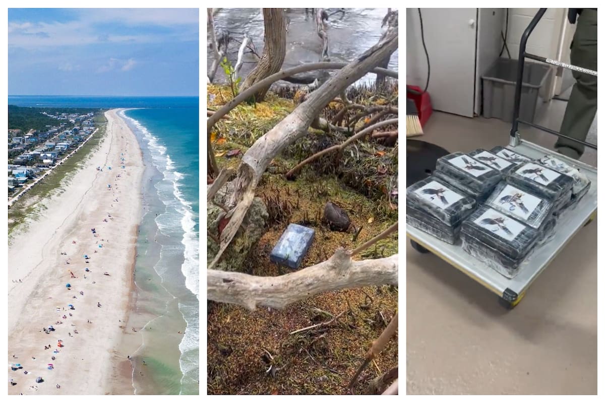 El cargamento de cocaína tenía el logo de un águila (fotomontaje con imágenes difundidas por la Policía)