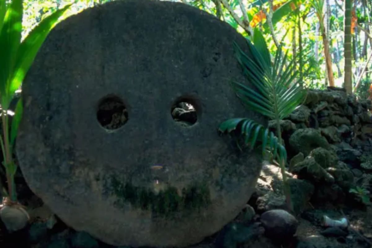 El caso atrajo la atención de todos en redes sociales (Foto: BBC)