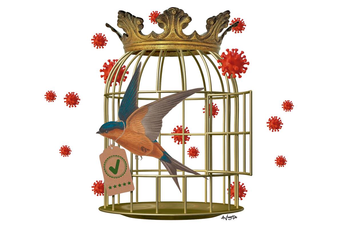 El caso de los "Pase VIP"