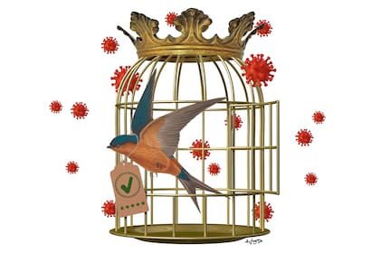 El caso de los "Pase VIP"