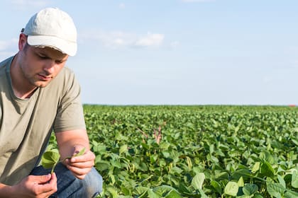 El caso Enlist Colex-D: cómo la búsqueda de precisión en el control de malezas generó mayor seguridad en los cultivos.