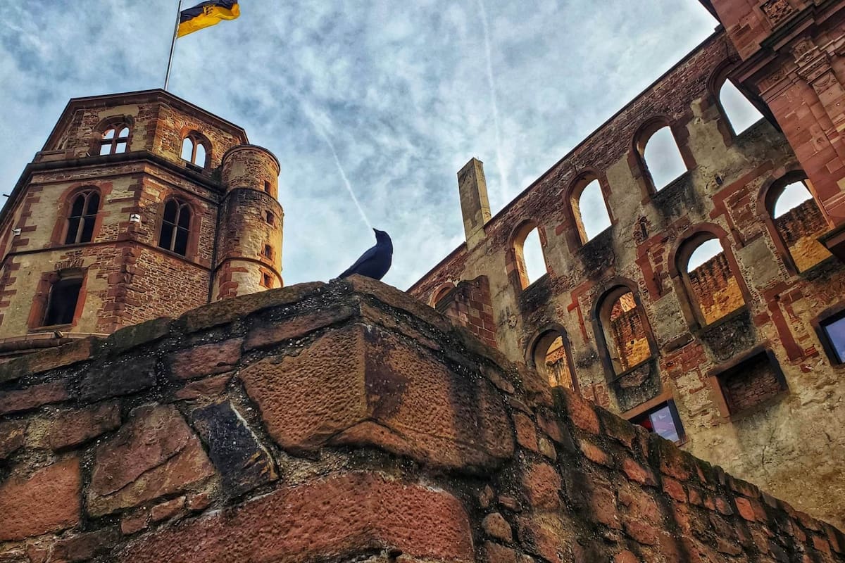 El castillo, una de las principales atracciones de la ciudad de Heidelberg.