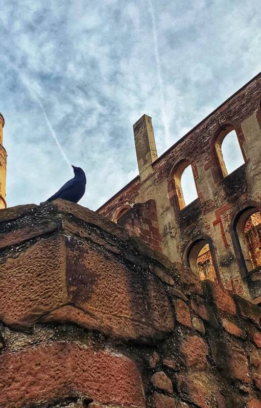 El castillo, una de las principales atracciones de la ciudad de Heidelberg.