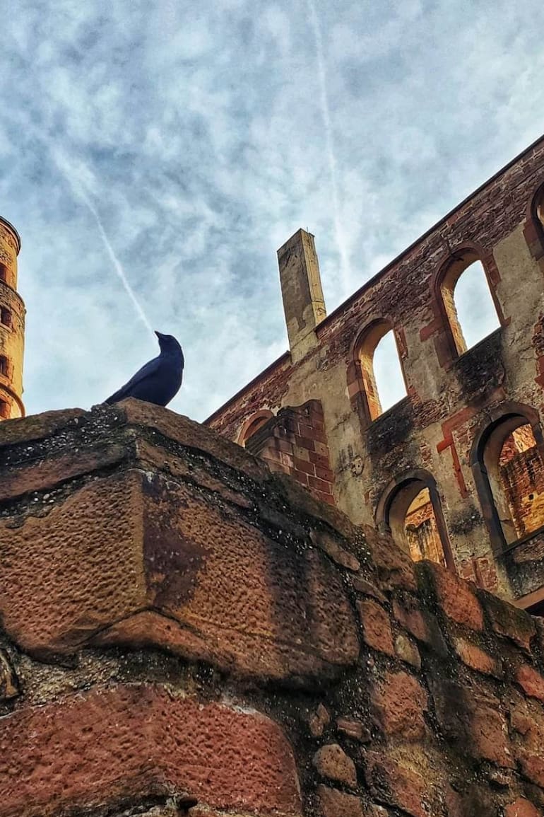 El castillo, una de las principales atracciones de la ciudad de Heidelberg.
