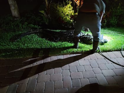 El cazador logró sacar al caimán de la piscina
