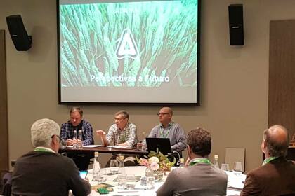 El CCO de Adama, Shaul Friedland, durante la charla en el Palacio Duhau, en Buenos Aires