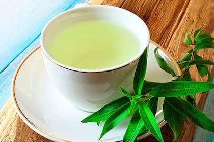 El cedrón tiene grandes beneficios para la salud