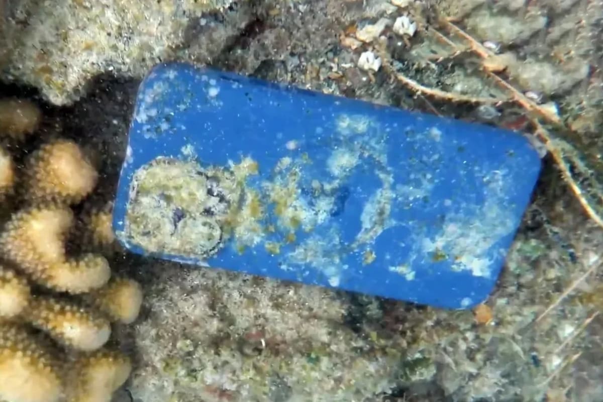 El celular fue encontrado en Hawái