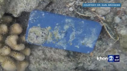 El celular, tal y como se encontró