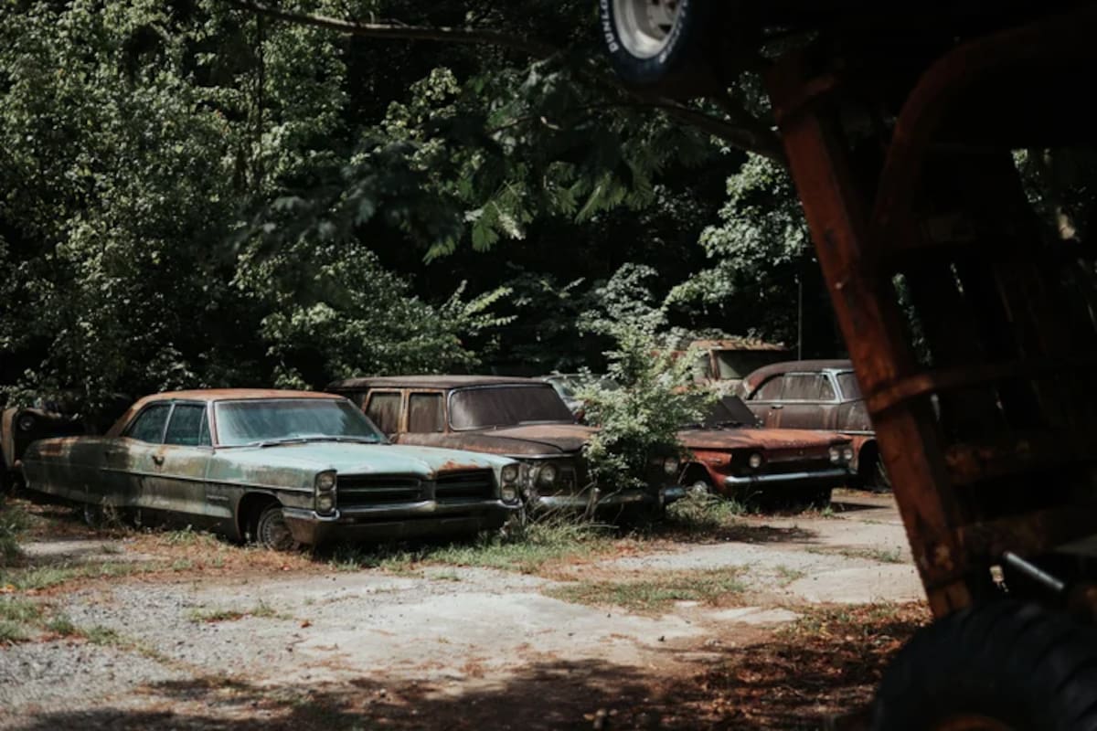 El cementerio de autos clásicos es un museo a cielo abierto