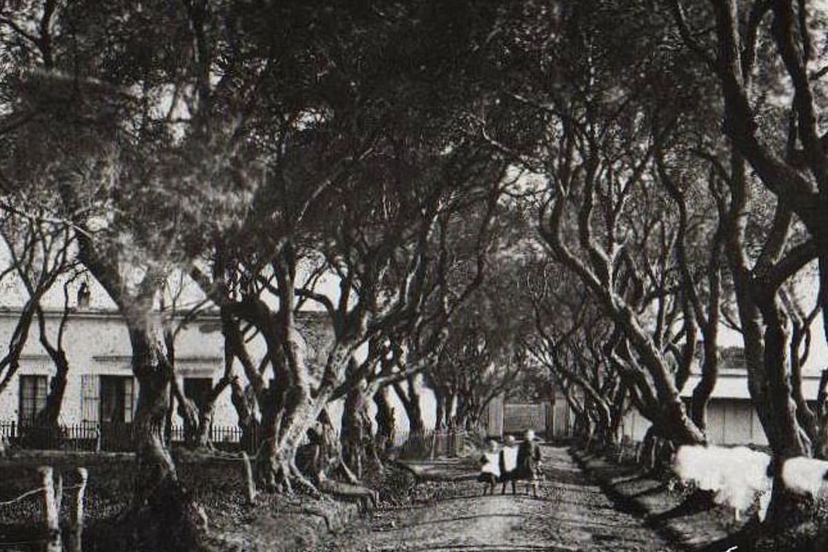 El cementerio de disidentes se inauguró con el objetivo de que las personas que no profesaban la fé católica tengan su espacio para realizar los entierros