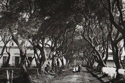 El cementerio de disidentes se inauguró con el objetivo de que las personas que no profesaban la fé católica tengan su espacio para realizar los entierros