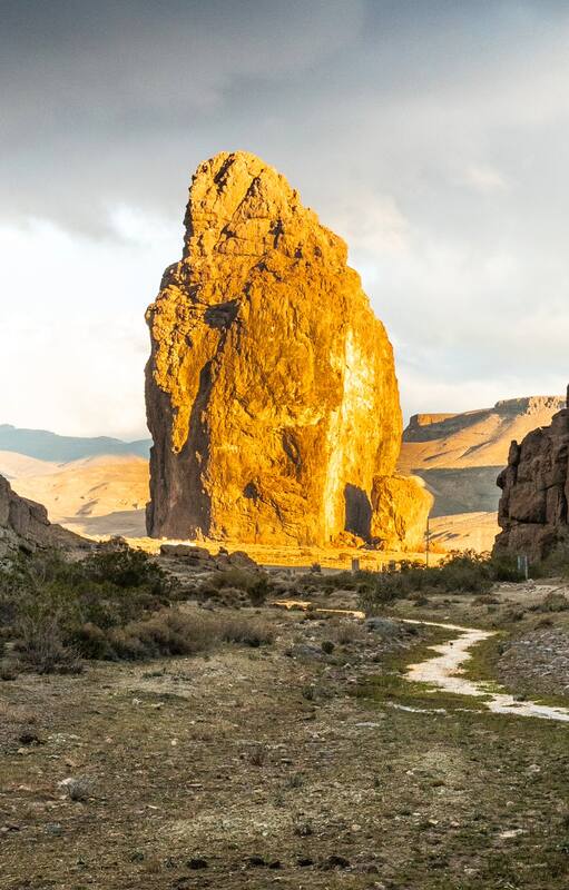 El centinela de la estepa patagónica.