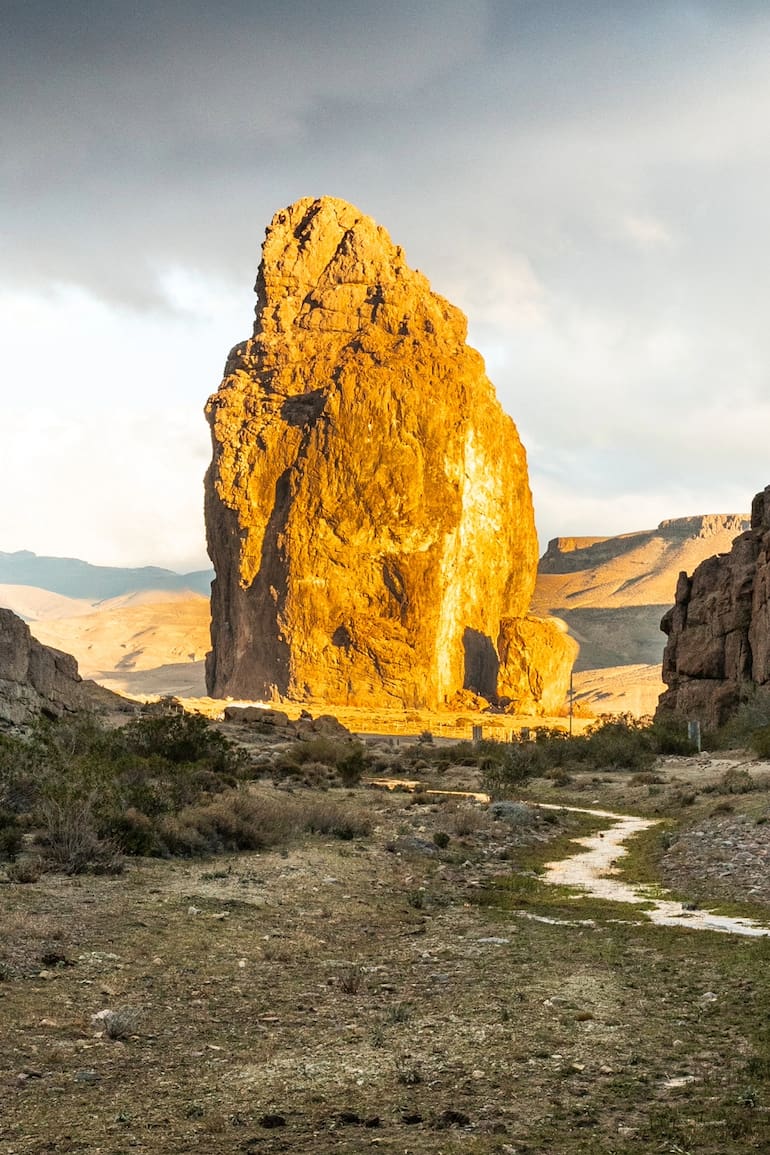 El centinela de la estepa patagónica.