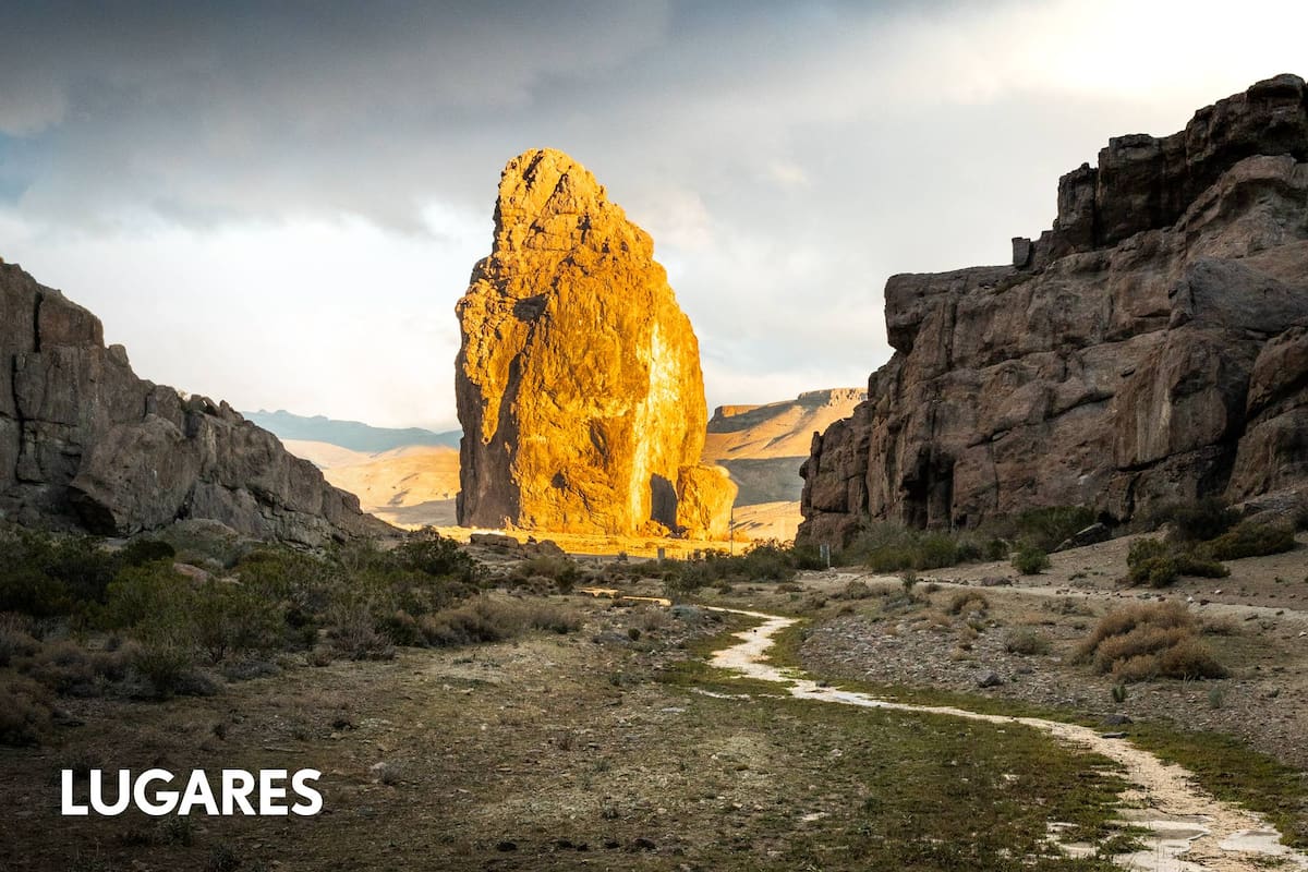 El centinela de la estepa patagónica.