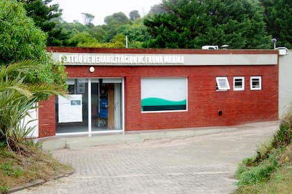El Centro de Rehabilitación de Fauna Marina fue inaugurado en 1994, un año después de la apertura del acuario