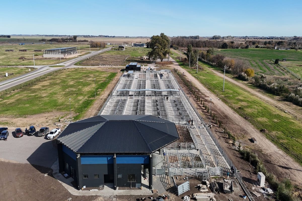 El centro de Remates y Exposiciones de Angus en el Mercado Agroganadero de Cañuelas
