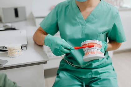 El cepillado debe realizarse cada ocho horas para evitar la placa dental