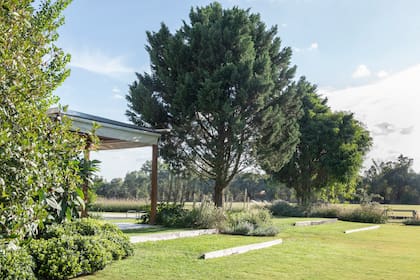 El cerco de cipreses estaba muy crecido y daba sombra al jardín. Se decidió retirar estos árboles y se logró abrir las vistas e integrar el nuevo
terreno