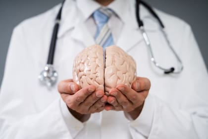 El cerebro es uno de los órganos más complejos e importantes del cuerpo humano, y es el encargado de coordinar casi todas las funciones vitales