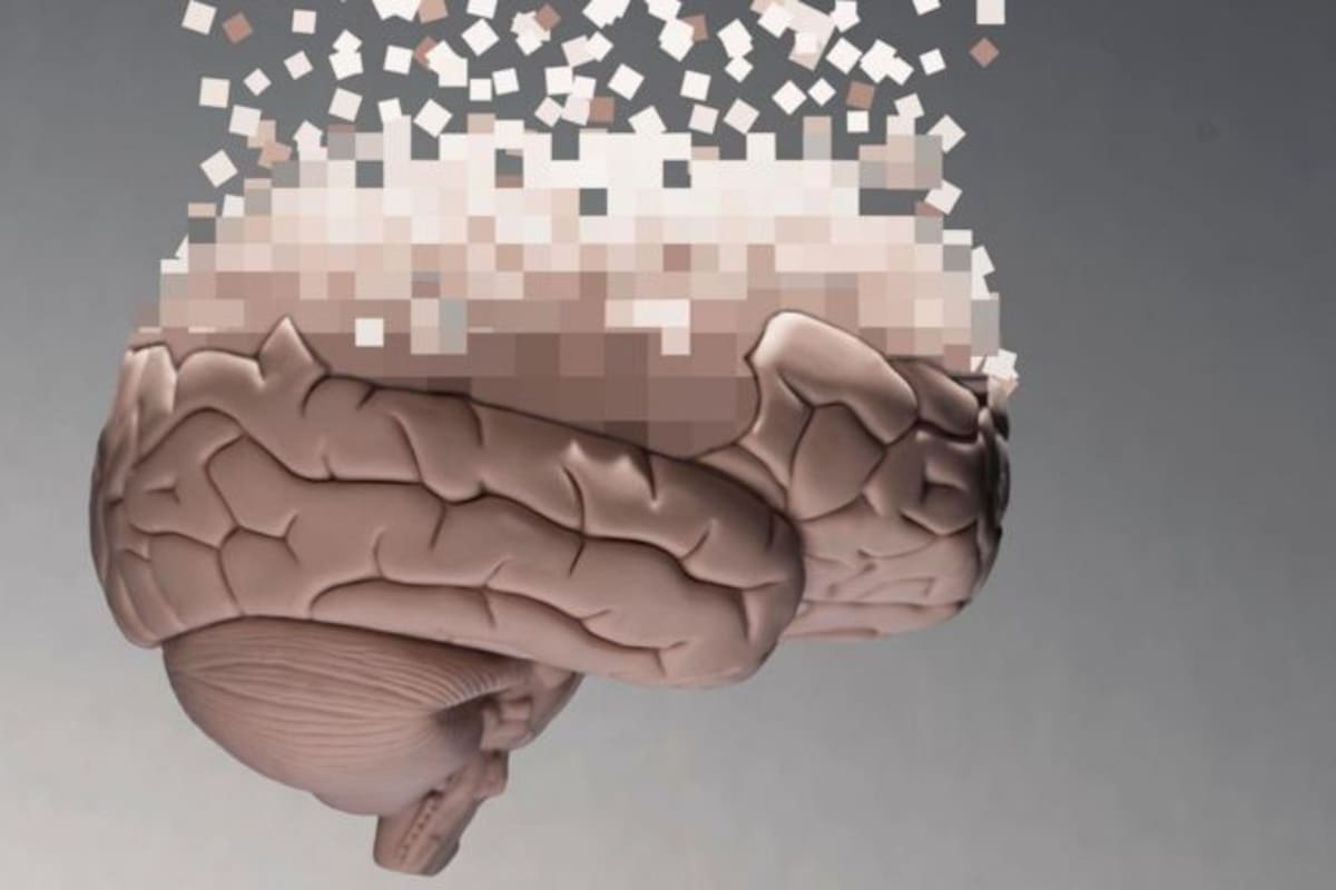 El cerebro humano sufre una radical configuración a partir de los 40 años