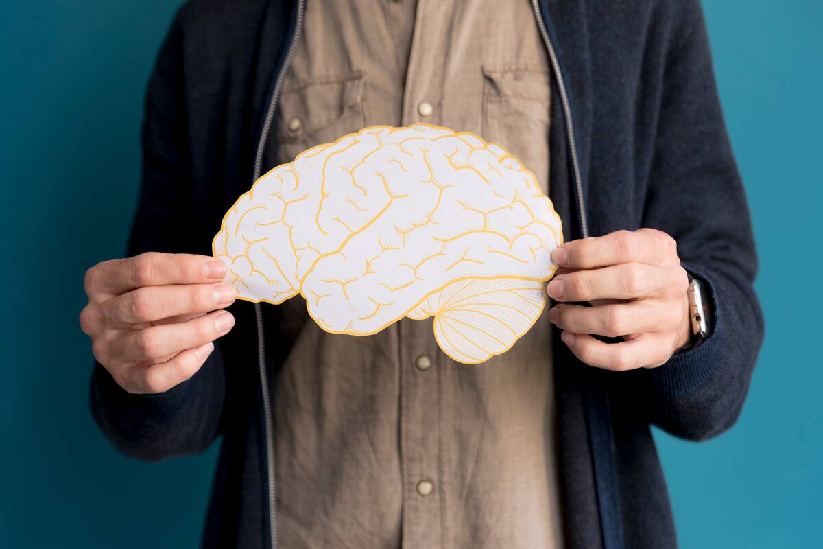 El cerebro obtiene múltiples beneficios de distintas actividades (Foto: Freepik)