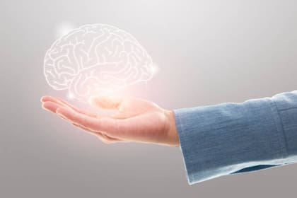 El cerebro reclama la participación de diferentes sistemas que proponen estrategias de acción
