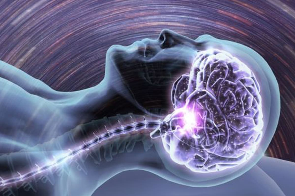 El cerebro se reorganiza y se recarga durante el sueño.