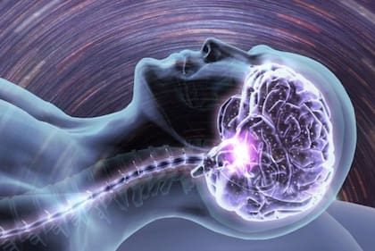 El cerebro se reorganiza y se recarga durante el sueño.