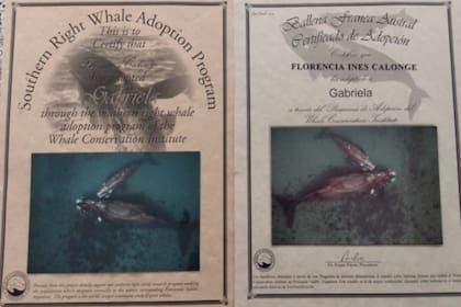 El certificado de adopción de Gabriela que guarda Florencia