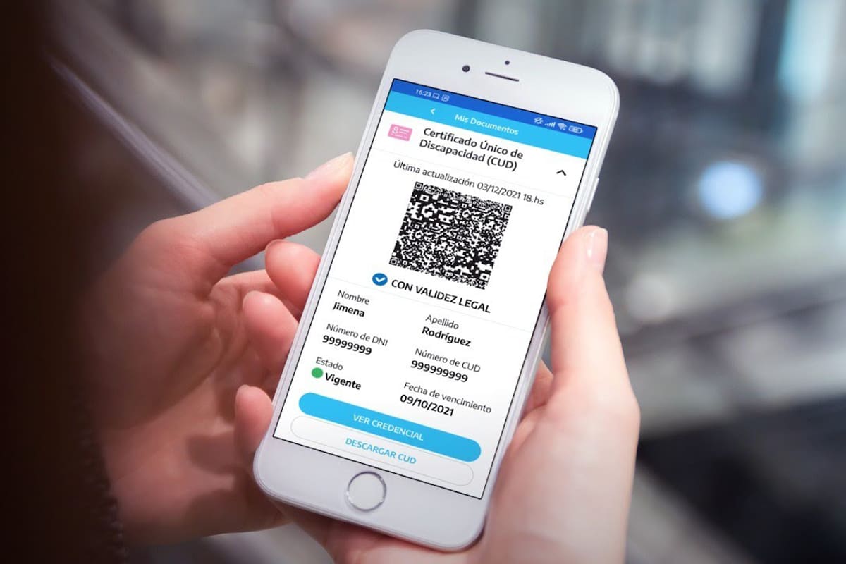 El certificado único de discapacidad está disponible en Mi Argentina