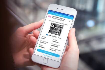 El certificado único de discapacidad está disponible en Mi Argentina