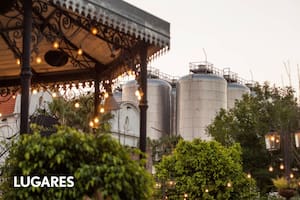 El "cervezoducto" traslada litros de cerveza fresca de los barriles a las mesas y es único en Latinoamérica.