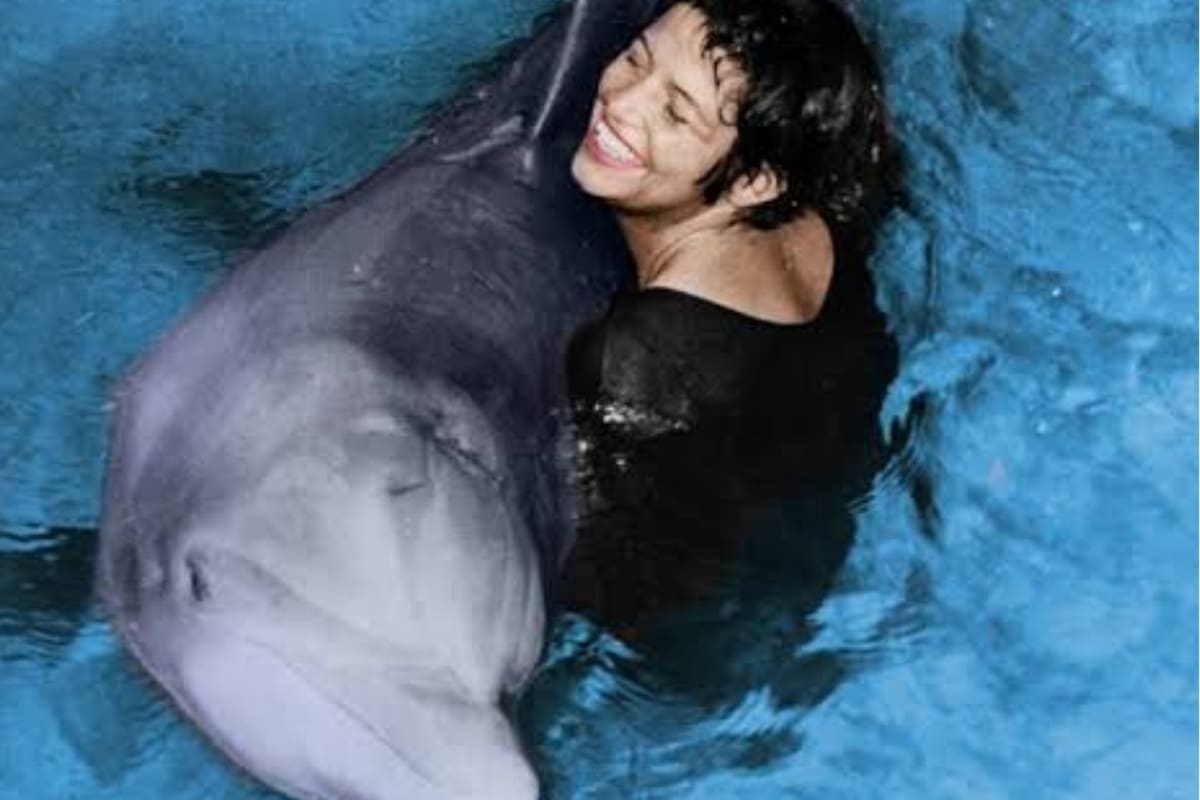 El cetáceo fue parte de un experimento que buscaba entender cómo se comunicaban (Foto: Captura de Twitter)