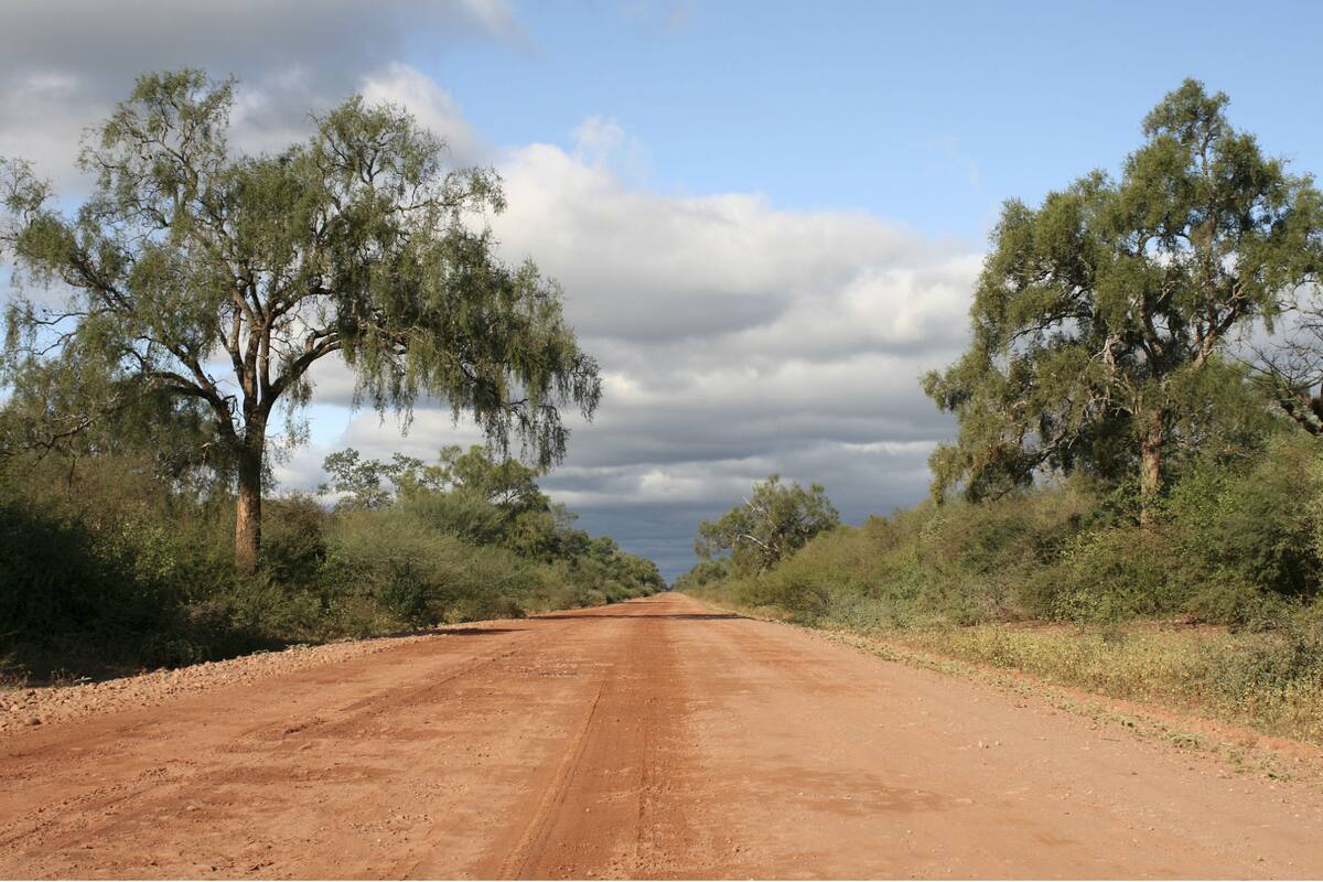 El Chaco tiene 65 millones de hectáreas, de las cuales hay 13 millones de ellas que están bajo algún sistema productivo