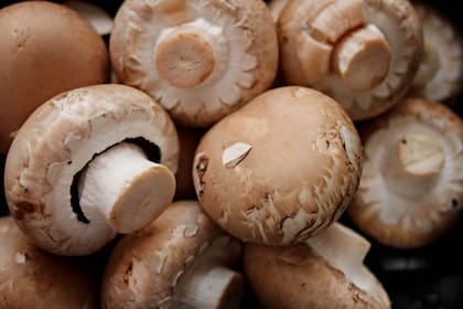 El champiñón es el que más se produce en Argentina. Se usa en salsas o rehogado en la sartén con cebolla, ajo y vino blanco.