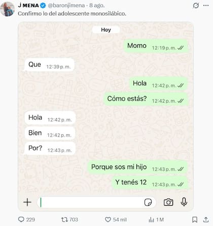 El chat entre Jimena Barón y Momo