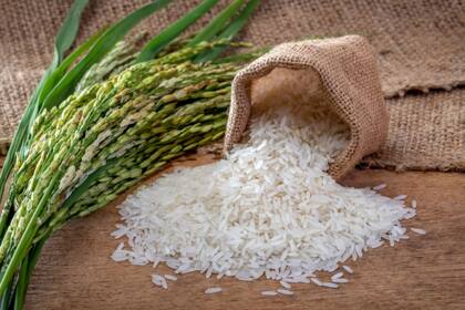 El chef Hernán Gipponi utiliza variedades de grano japónica para lograr la máxima cremosidad en sus preparaciones dulces