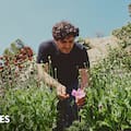 “Estamos recuperando la mirada de nuestros padres y abuelos”