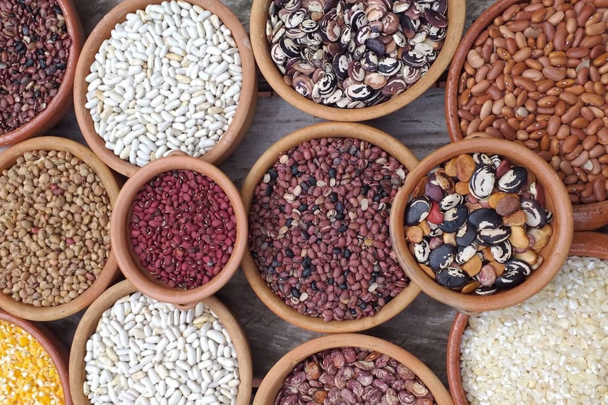 El chef Saúl Lencina, de Poytava, en Misiones, utiliza y cultiva más de una docena para sus platos.