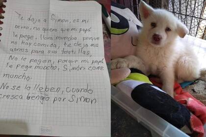 El chico quería garantizar el bienestar de su perro