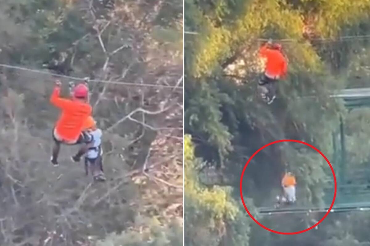 El chico resultó ileso al caer en el agua del lago