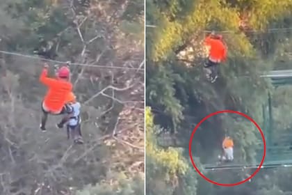 El chico resultó ileso al caer en el agua del lago