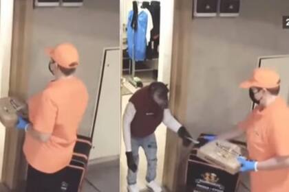 El chimpancé recibiendo e pedido de pizza a domicilio