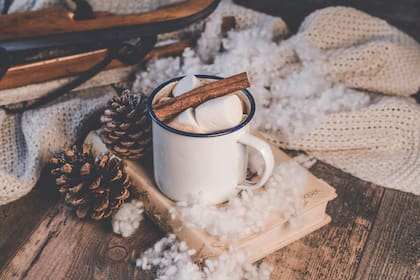 El chocolate caliente debe ser consumido con moderación, entre una y dos veces por día (imagen ilustrativa)