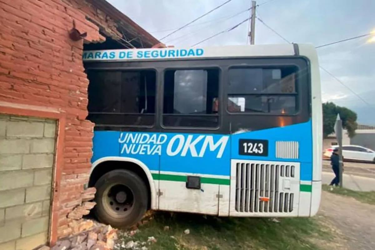 El chofer sufrió heridas leves; nadie más salió lastimado