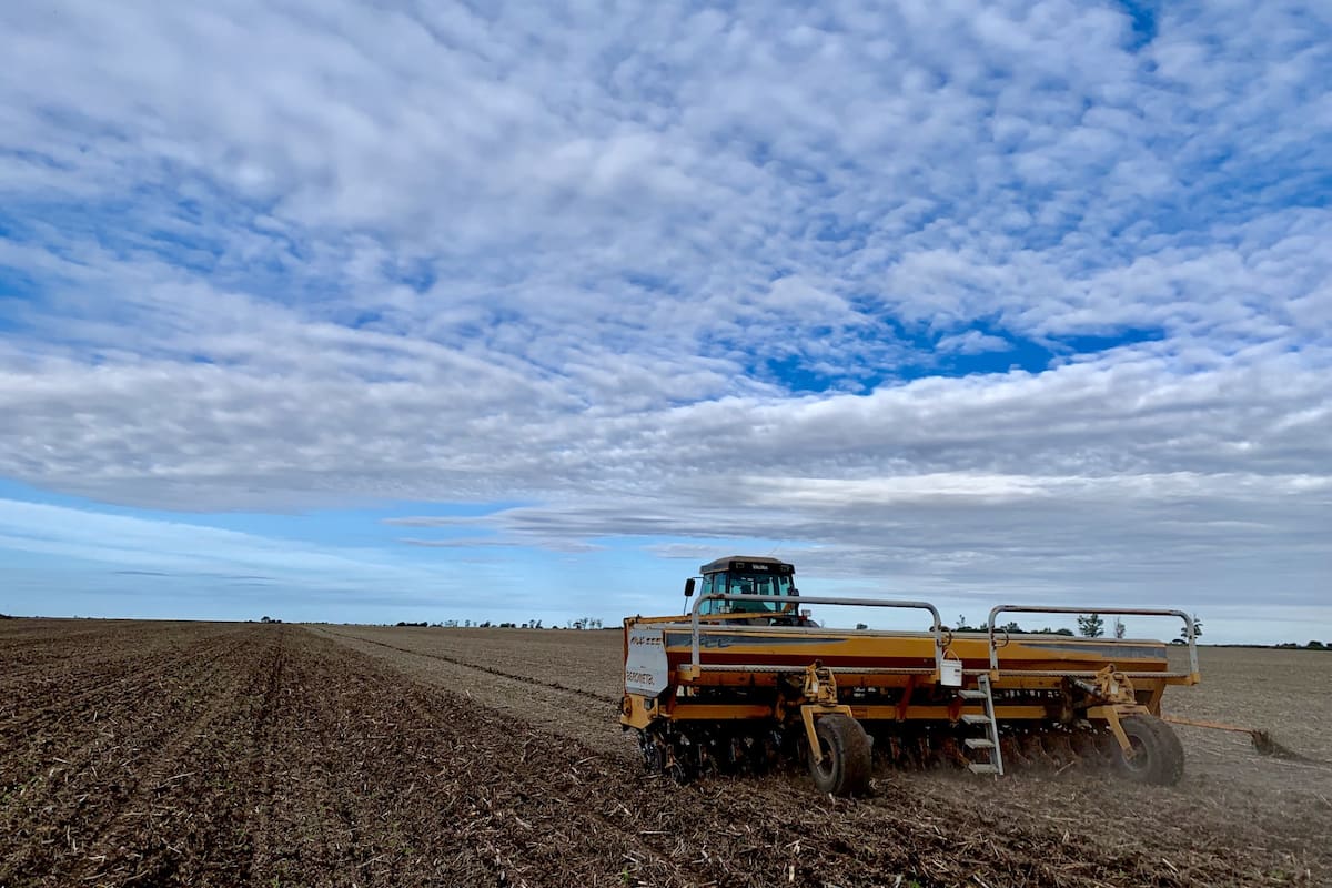 El ciclo pasado el 25% de la inversión para la siembra se solventó con capital propio y el 75% a partir de terceros